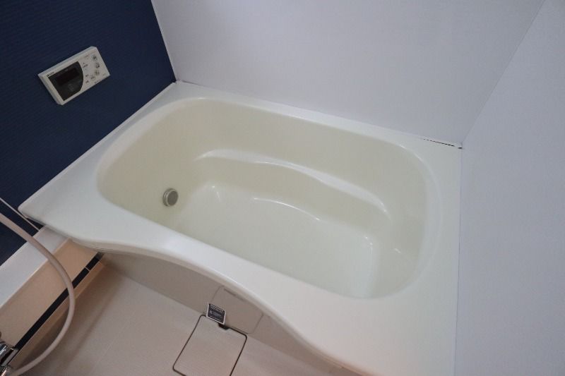 �y�o�X�z�@���^�C�v�@