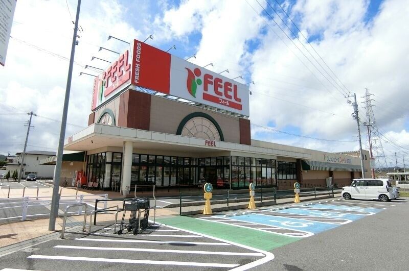 �y���Ӂz�@�t�B�[���K�c�X