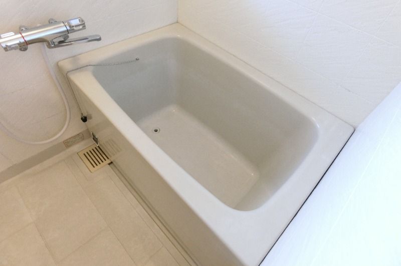 �y�o�X�z�@���^�C�v�@