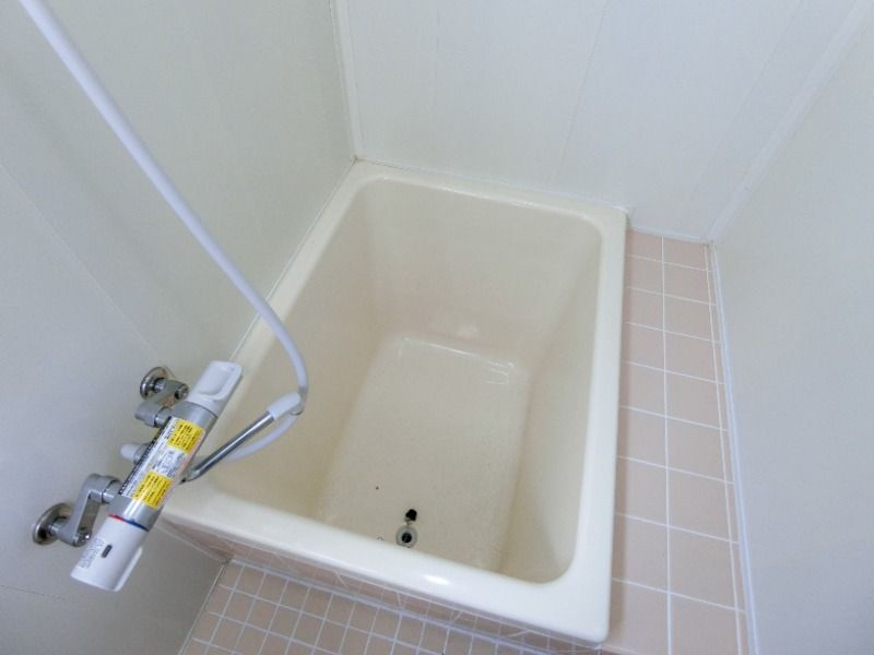 �y�o�X�z�@