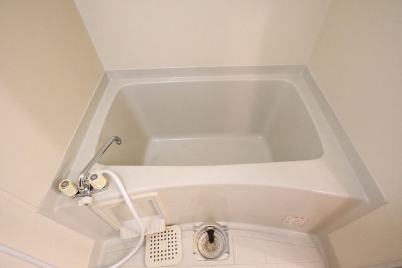 �y�o�X�z�@