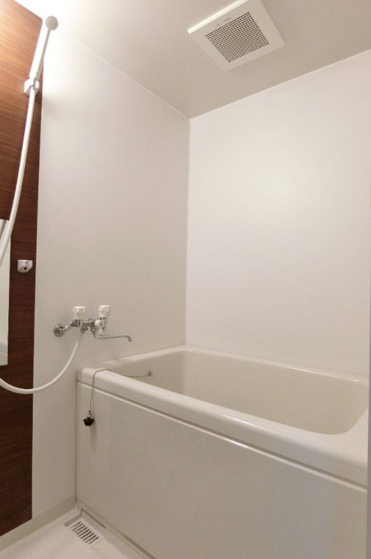 �y�o�X�z�@