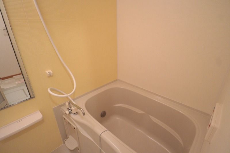 �y�o�X�z�@