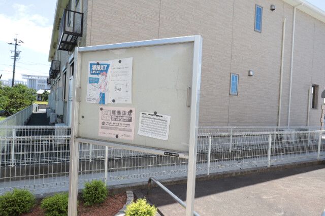 �y���̑��z�@