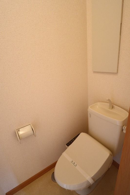 �y�g�C���z�@