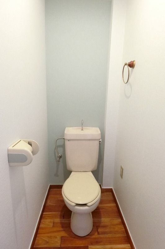 �y�g�C���z�@