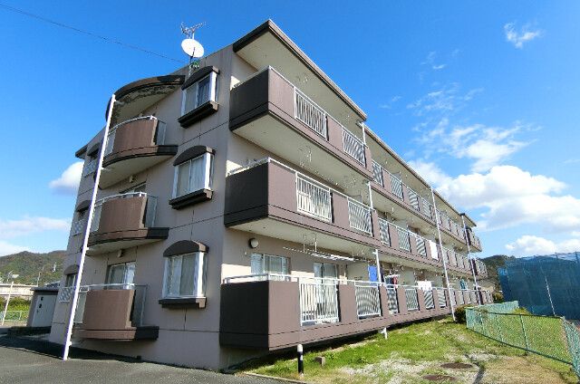 ���R�n�C�c�̌����O��