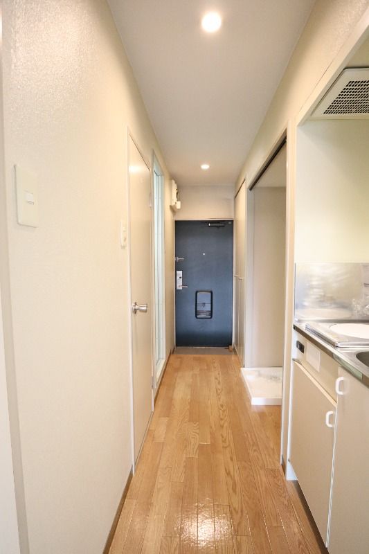 �y���̑��z�@���^�C�v