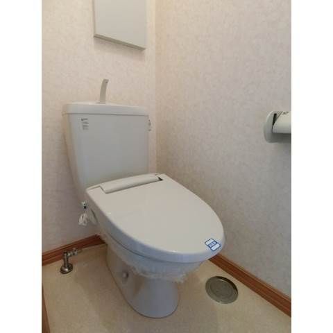 �y�g�C���z�@