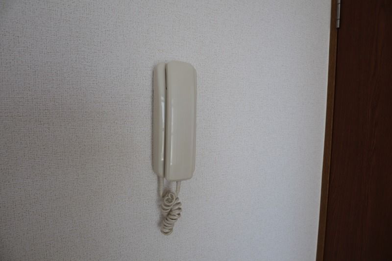y̑z@^Cv