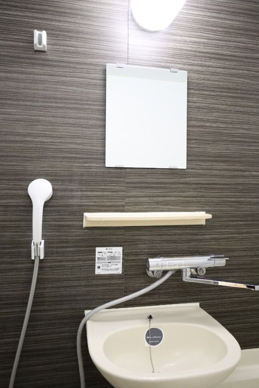 �y���ʏ��z�@���^�C�v�@