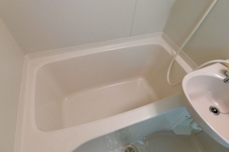 �y�o�X�z�@