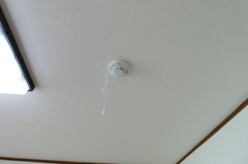 �y���̑��z�@