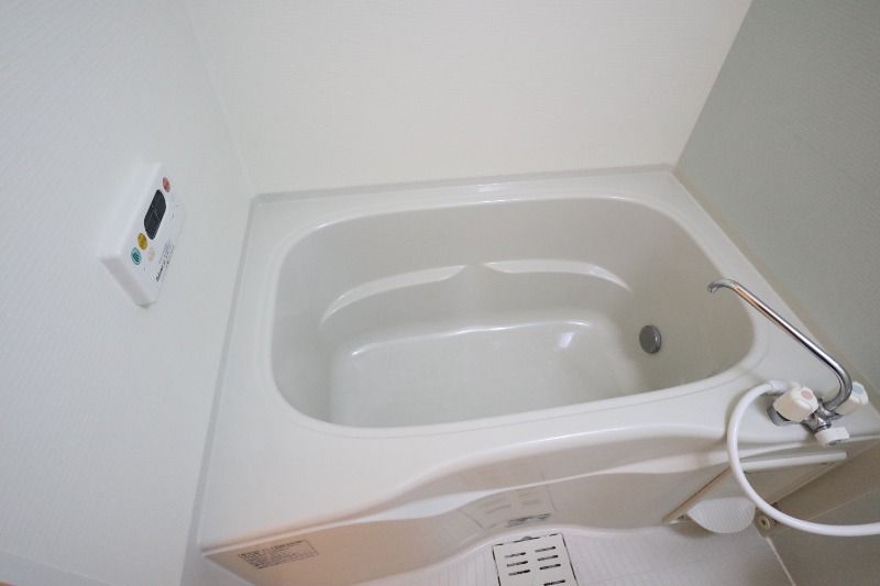 �y�o�X�z�@