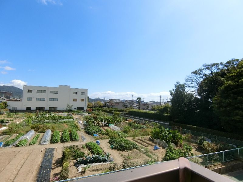 �y���̑��z�@