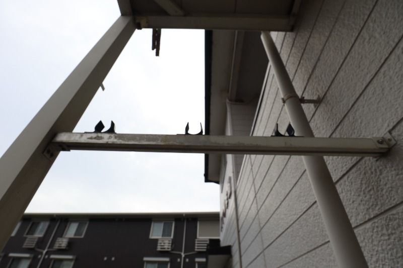 �y���̑��z�@��������