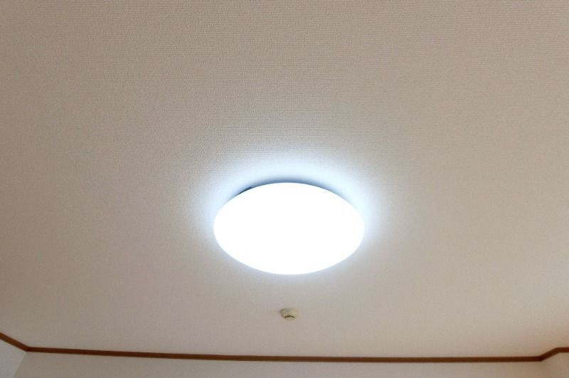 �y���̑��ݔ��z�@�Ɩ����t��