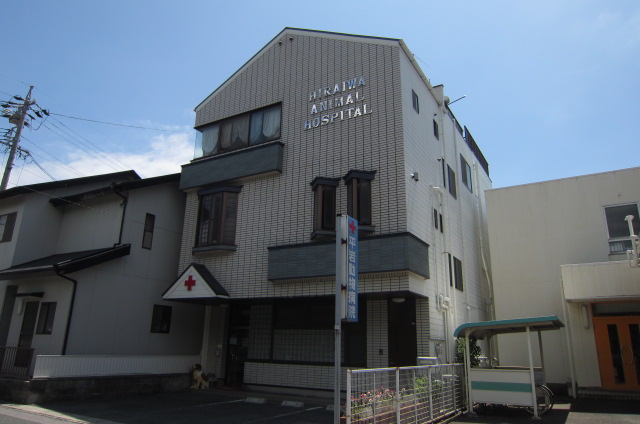 平岩動物病院 愛知県蒲郡市旭町3 14 ミニミニfc蒲郡店 丸七住宅株式会社